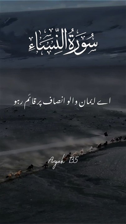 "Wisdom from the Quran | Short Ayah Reflection"   3. "Daily Quran Inspiration | Powerful Ayah in 60 Seconds"