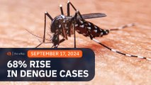 DOH worried as dengue cases rise by 68% 