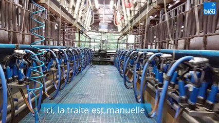 Reportage au GAEC Dyna'milk, près de Rennes