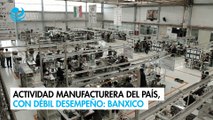 Actividad manufacturera del país, con débil desempeño: Banxico