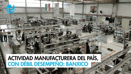 Actividad manufacturera del país, con débil desempeño: Banxico