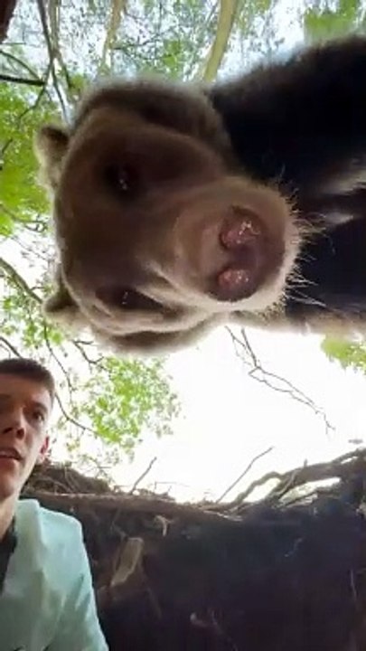 Ce randonneur tombe nez à nez avec un ours... flippant