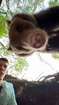 Ce randonneur tombe nez à nez avec un ours... flippant