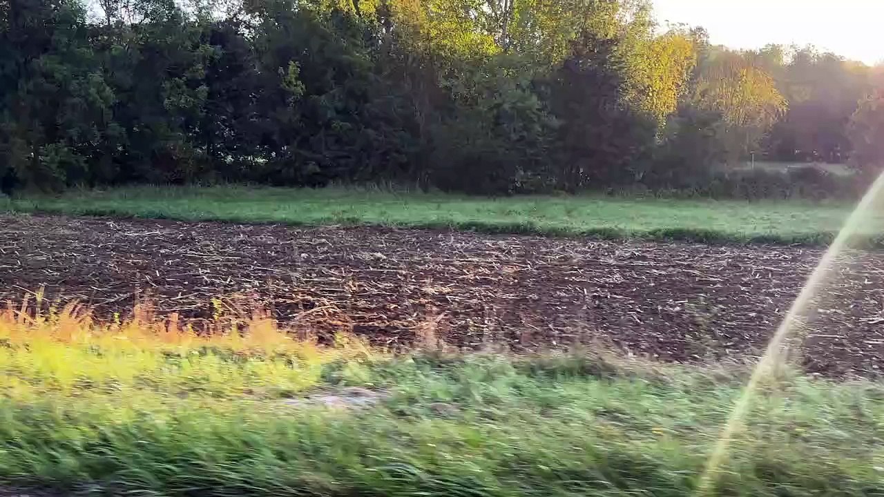 En haut de St Sulpice de Mareuil