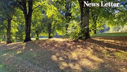 Sunny September at Stormont: Unusual Autumn Warmth ☀️
