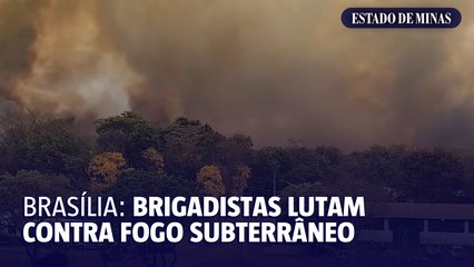 Brasília: Brigadistas combatem incêndio subterrâneo no Parque Nacional 🔥