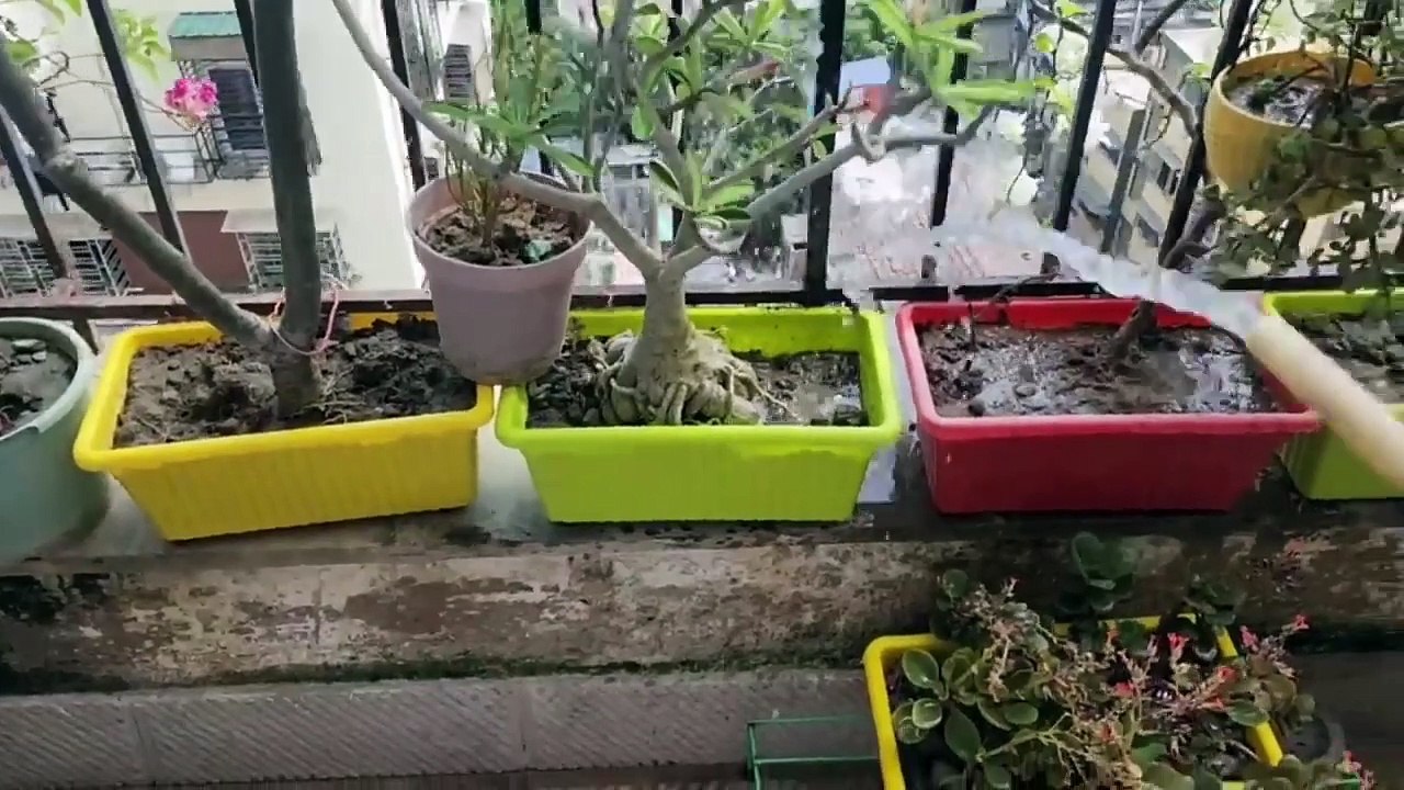 স্নানপর্ব ২... video Dailymotion