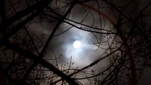 Full Moon Scary Night