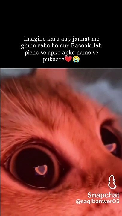 Snapchat-696946059