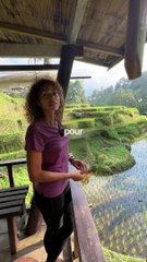Volontariat à Bali - 20% avec Worldpackers 🌴