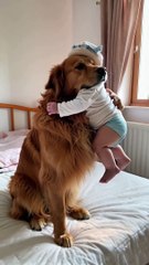Don't Be Afraid, Little Master, I'm Here!  | Heartwarming Dog and Baby Moment