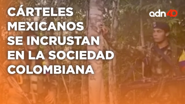 Gran presencia de cárteles mexicanos en Colombia, operan con emisarios I Todo Personal