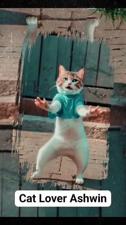 Cute Cat Dance❤️