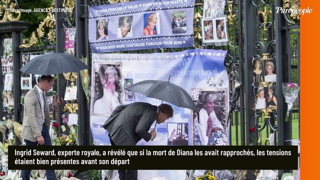 Harry et William complices ? Une experte démolit ce que tout le monde pensait au sujet des deux frères