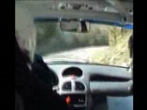 RALLYE VENASQUE 2008 ES10 MURS CABART/PEREZ 206 N°104