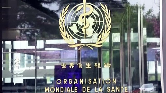 La OMS advierte de la escasez de antídotos en medio del flagelo de las mordeduras de serpiente