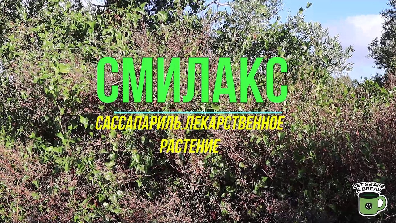 Смилакс(Сассапариль).Ферментированный лечебный чай.