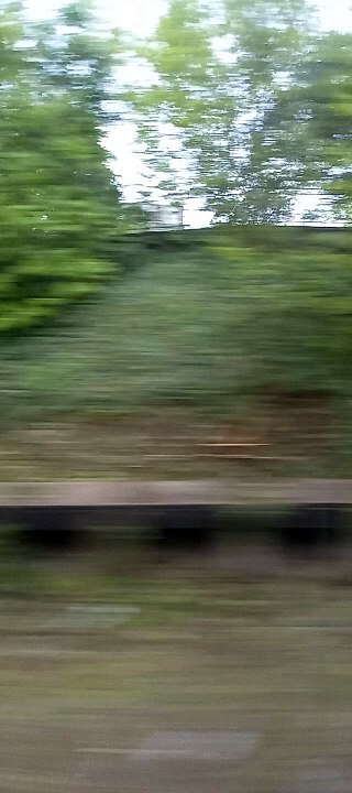 The TER Paris Chartres Line  #france  #paris #chartres #train  (20)