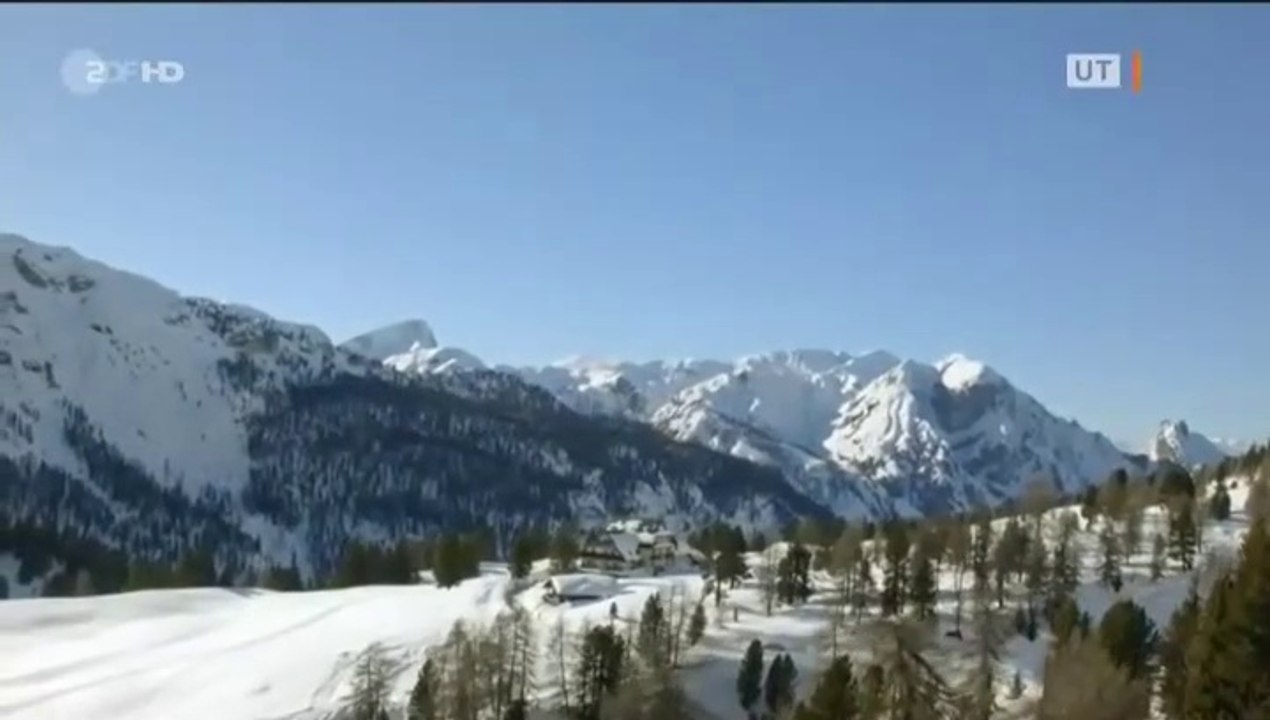 Frühling -07- Frühling in Weiß