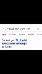 beyaz güller