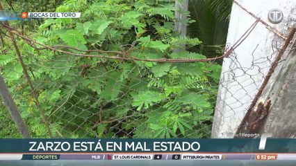 Puente zarzo de Punta Peña está a punto de colapsar