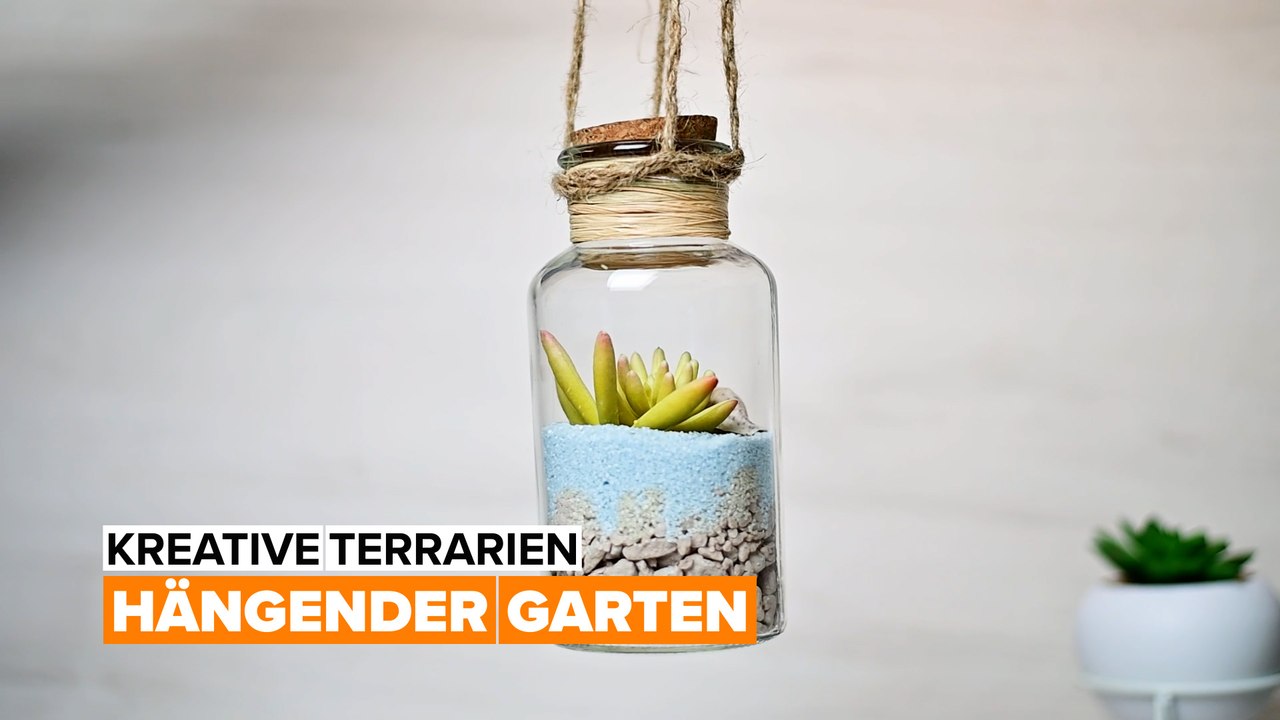 Kreative terrarien: hängender garten