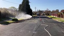 Firefighters attend Regina Avenue gas leak in North Albury