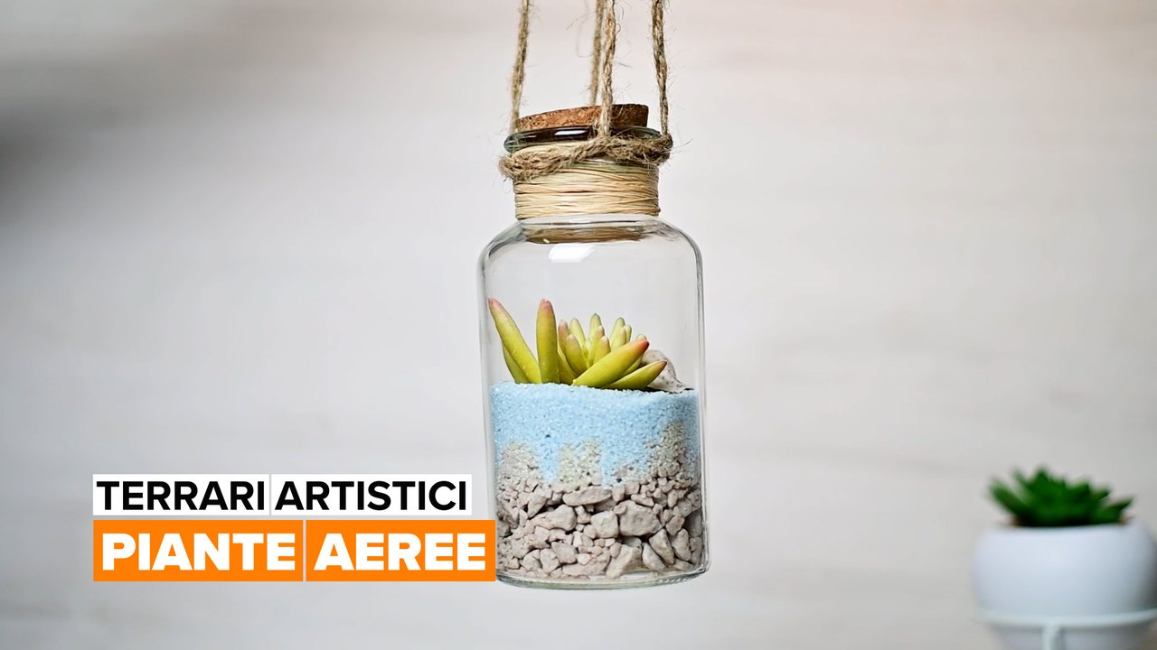 Terrari artistici: Piante aeree
