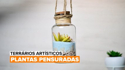Terrários artísticos: Plantas penduradas
