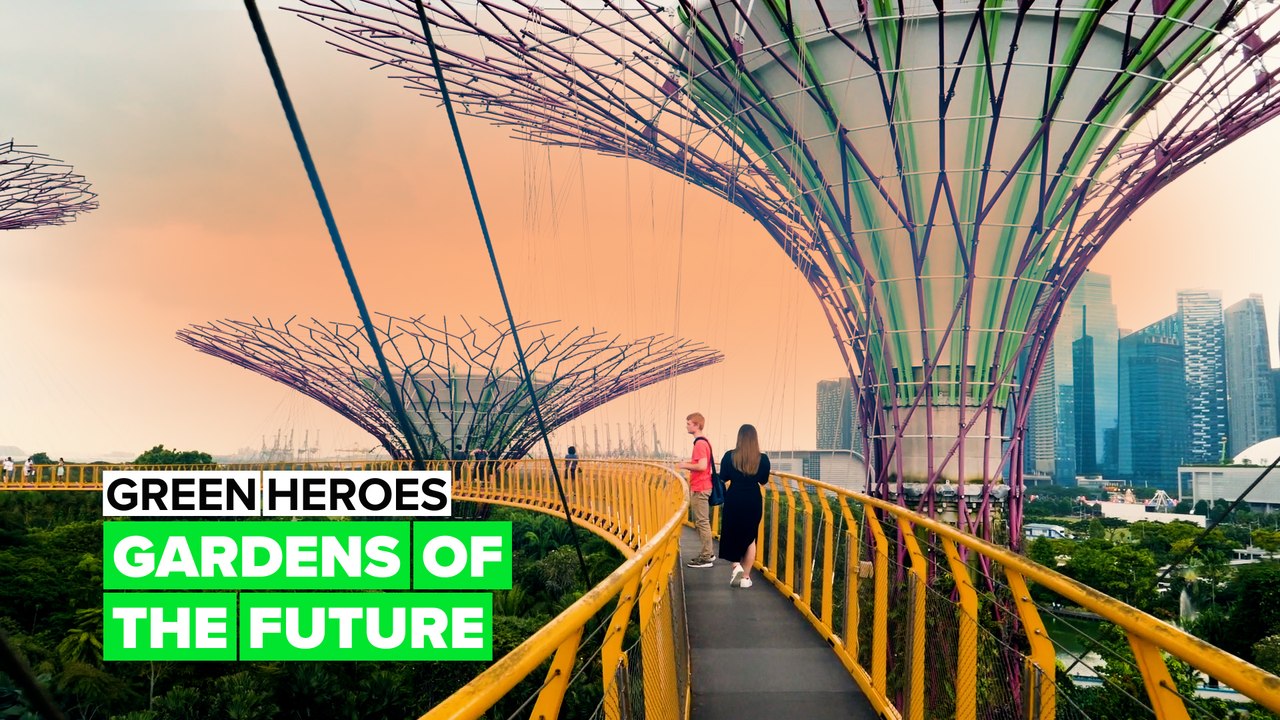 Green Heroes: Garden of the future