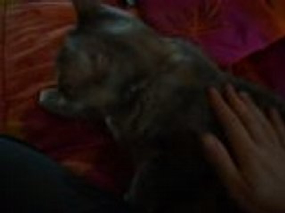 après l'effort, le réconfort