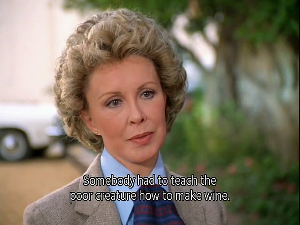 Remington Steele S01E19