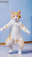  #trendingvideo ##trendingmusic