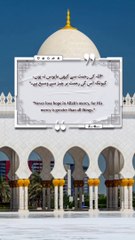 Best Quotes, shorts, shortvideo, shortsfeed, short, shortsviral, quran, video, viralvideo