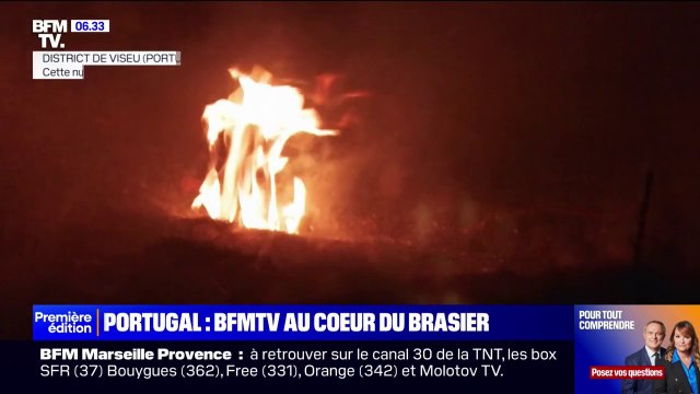 On essaie de sauver la maison de notre ami : dépassé par les feux de forêts, le Portugal est en alerte jusqu'à jeudi