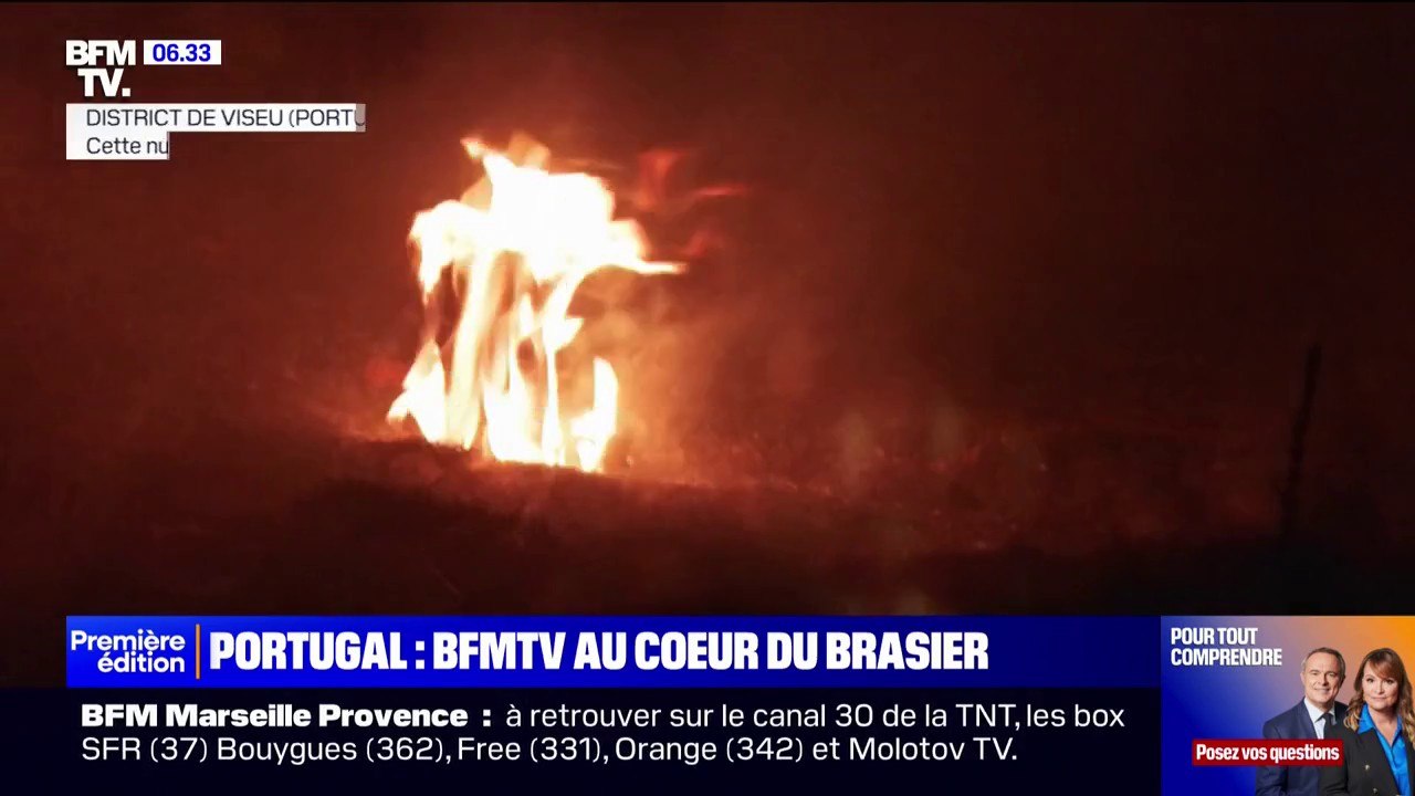 "On essaie de sauver la maison de notre ami": dépassé par les feux de forêts, le Portugal est en alerte jusqu'à jeudi