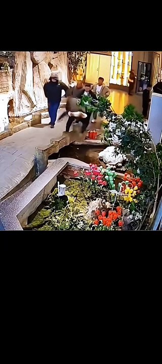 Best funny short today