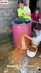 easy ti cut watermelon