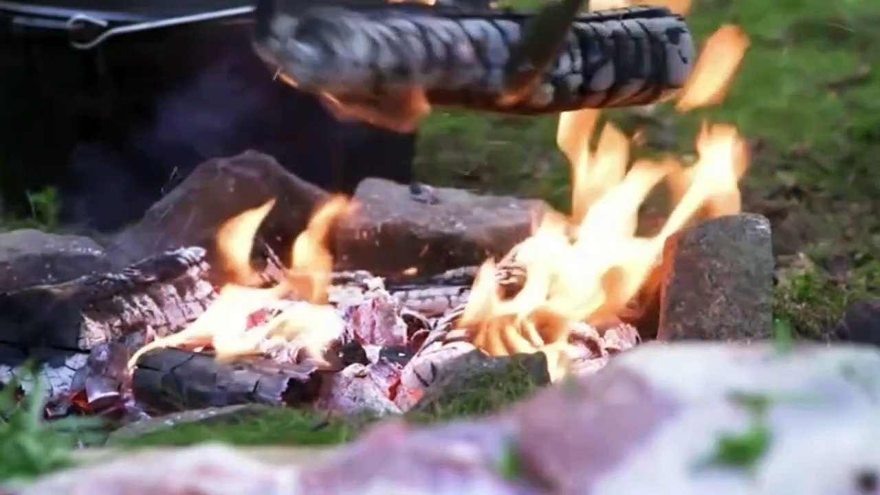 The Fire In The Jungle