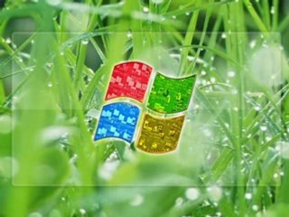 最終鬼畜全部窓
