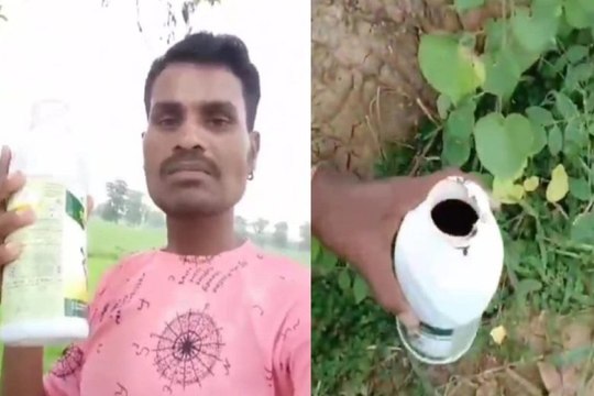 Live video of Suicide: तुम्हारी गोद पर सिर रखकर मरना चाहता हूं.... पति ने कीटनाशक पीकर की ख़ुदकुशी, छाया मातम