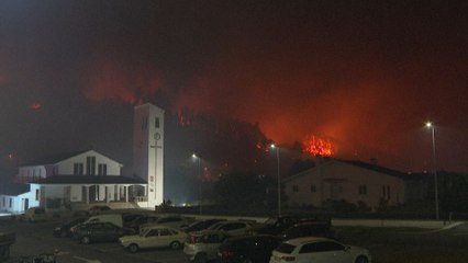 Portugal: le pays appelle l'Europe à l'aide face aux incendies