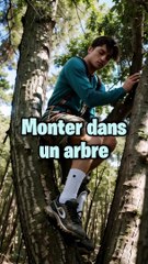 Survivras-tu aux animaux sauvages ?