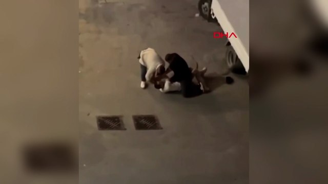 Uyuşturucu operasyonunda şüpheli kovalamaca sonucu yakalandı