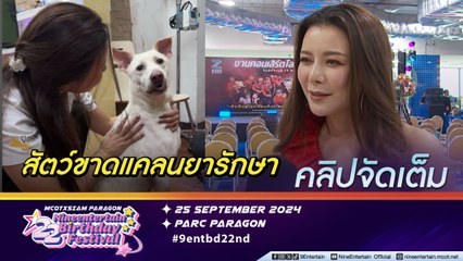 เก๋ วางแผนช่วยเยียวยาสัตว์หลังน้ำท่วม เผยขาดยารักษาโรค-เตรียมทำหมันให้ฟรี (คลิปจัดเต็ม)