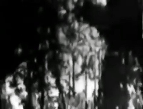 امتي تعود لموسيقار الازمان فريد الاطرش