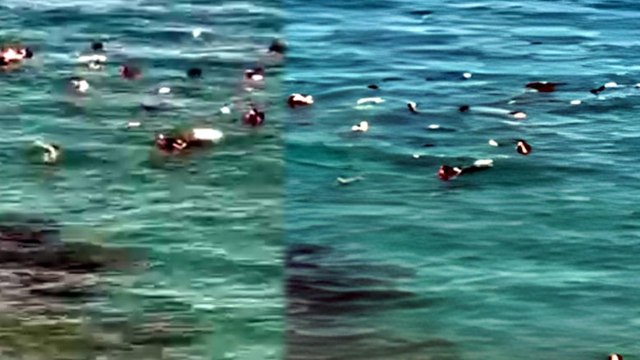 Ege'de can pazarı: Göçmenleri silah zoruyla denize attılar
