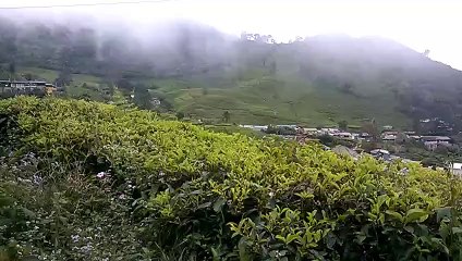 pemandangan puncak bukit