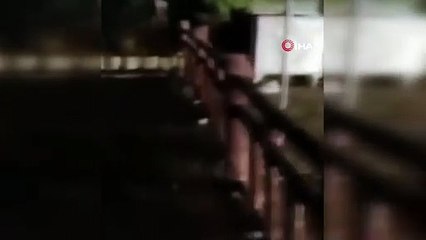 Bursa’da ayının saldırısından son anda kurtuldu