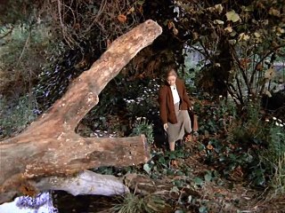 The Waltons S02E11 - The Substitute 📝 | Classic Family Drama